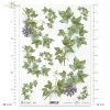 bluszcz pospolity, bluszczowe liście o drobnych ogonkach, ogród, krzew, zimozielone, zimozielony, R970, ivy, ivy leaves with small petioles, garden, shrub, evergreen, Efeu, Efeublätter mit kleinen Blattstielen, Garten, Strauch, immergrün, hiedra, hiedra h